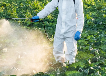 Lawn Care